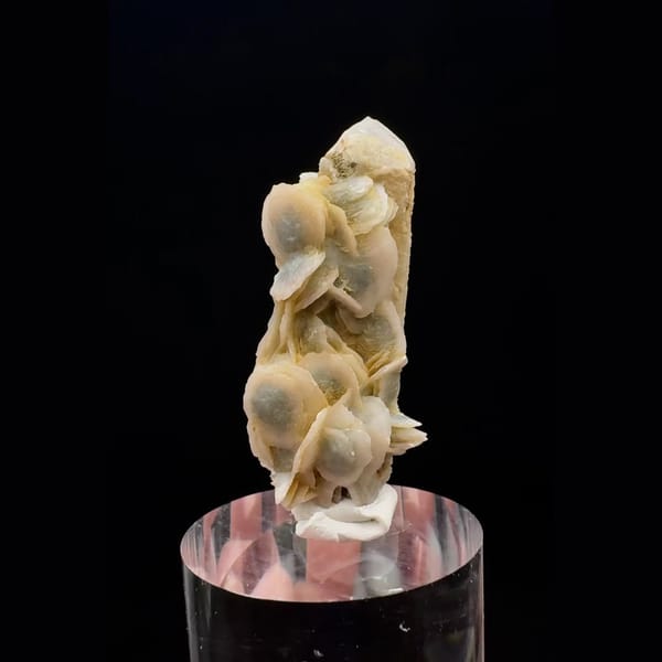Quartz point with cream-yellow petal calcite from Inner Mongolia — detail view