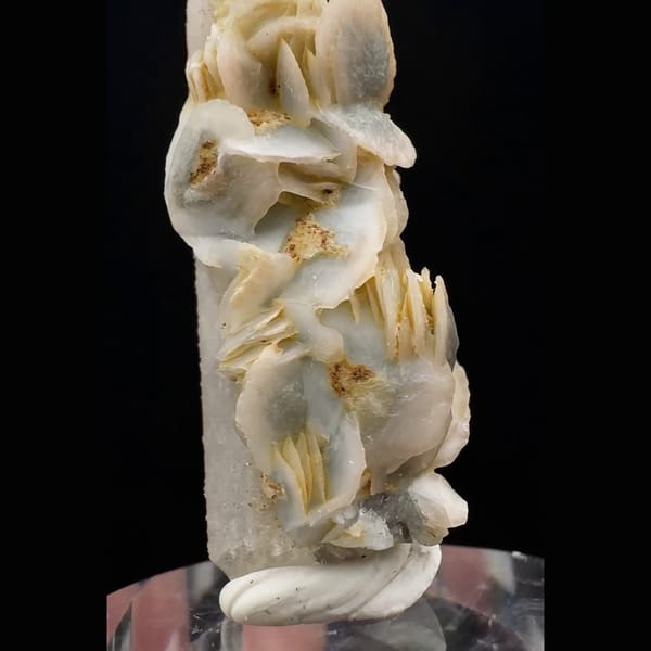 Quartz point with cream-yellow petal calcite from Inner Mongolia — detail view