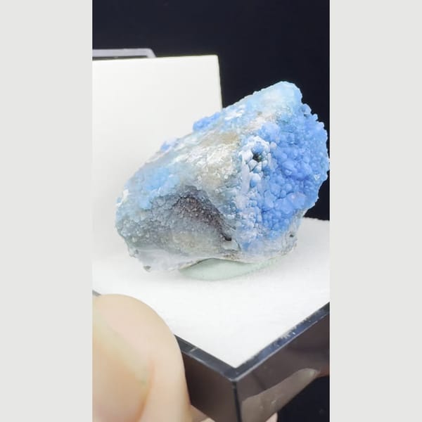 Vivid blue botryoidal allophane in specimen box from Qinglong — complete view