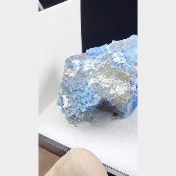 Vivid blue botryoidal allophane in specimen box from Qinglong — detail view
