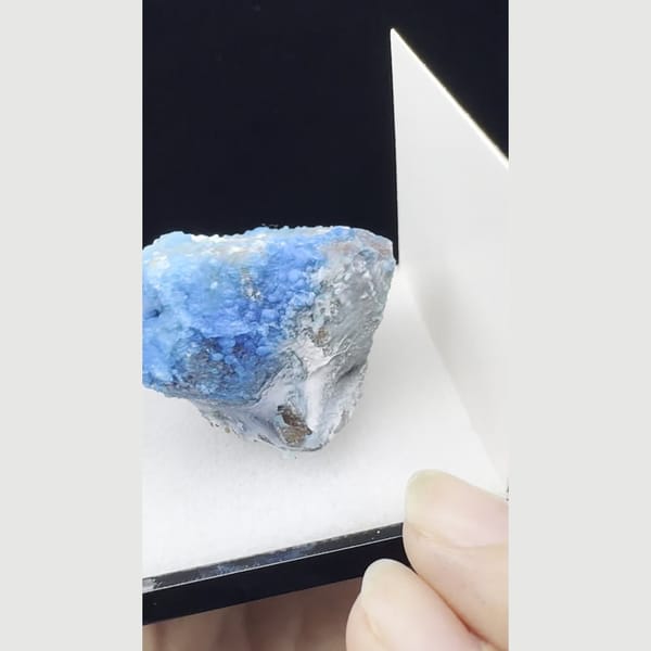 Vivid blue botryoidal allophane in specimen box from Qinglong — detail view