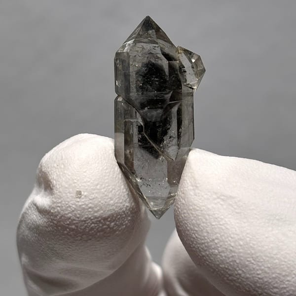Sugar-core dt Yunnan 2.9 cm — alternate view