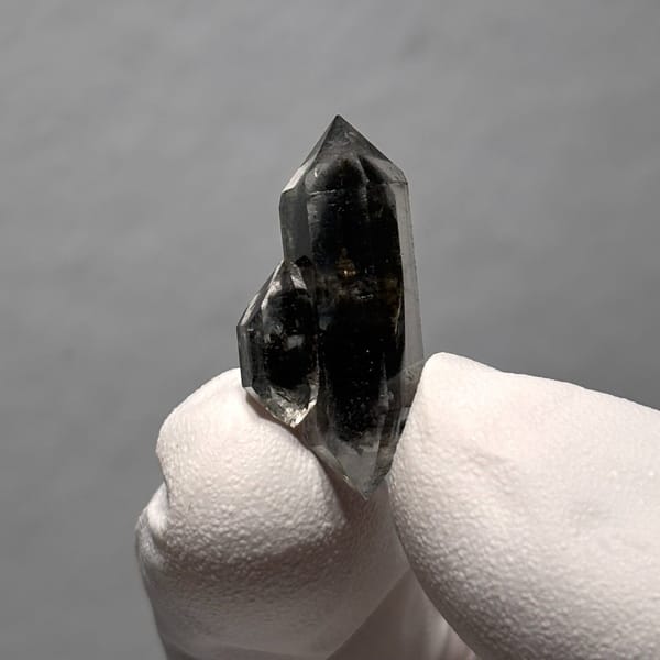 Sugar-core dt Yunnan 2.5 cm — detail view