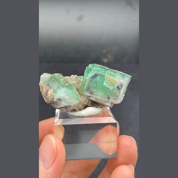 Green fluorite cubes with purple edges from Hebei — complete view