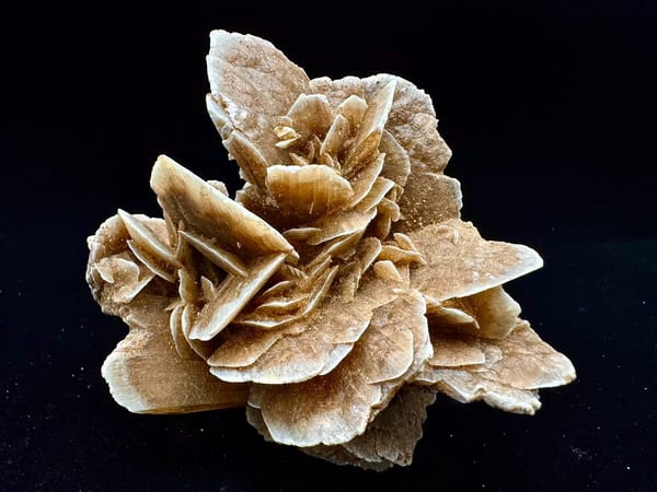 Layered Desert Rose Mineral Rosette from Inner Mongolia — full specimen view 2 of 8