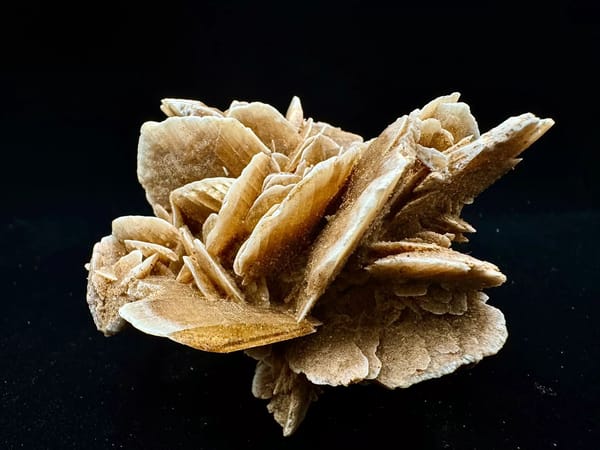 Layered Desert Rose Mineral Rosette from Inner Mongolia — full specimen view 3 of 8