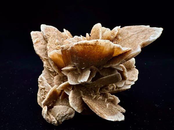 Layered Desert Rose Mineral Rosette from Inner Mongolia — full specimen view 4 of 8