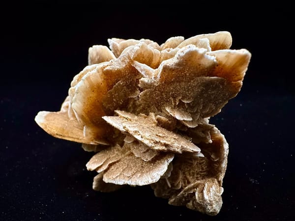 Layered Desert Rose Mineral Rosette from Inner Mongolia — full specimen view 7 of 8