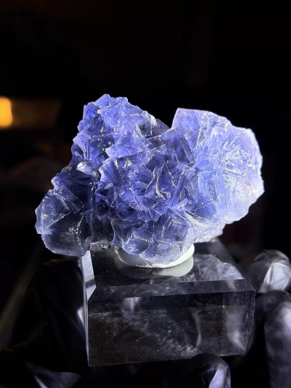 Complete mounted oblique profile of the blue fluorite cluster