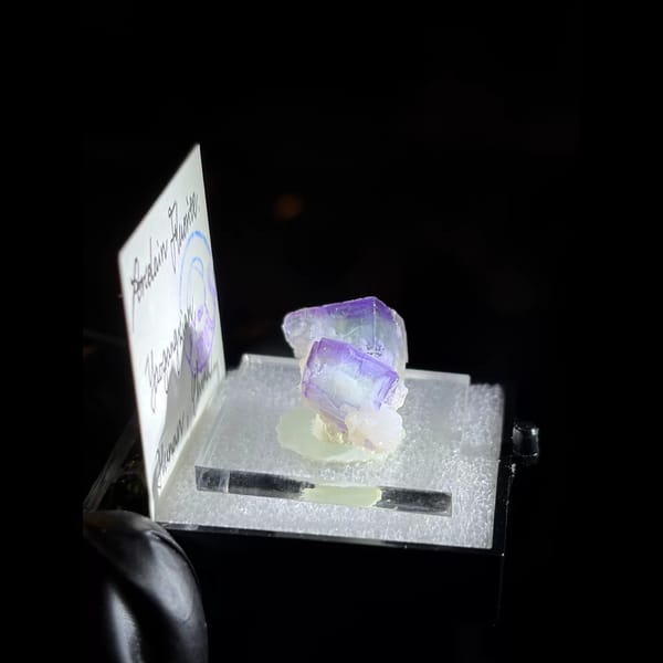 Porcelain fluorite with purple frame — complete view
