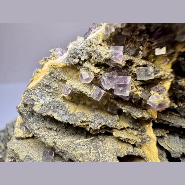 Purple Fluorite Cubes on Matrix 15.0 cm — detail view