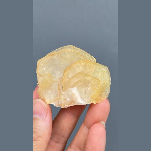 Honey yellow calcite with growth lines from Qingyuan — complete view