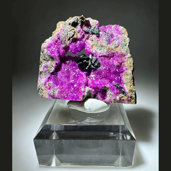 Cobaltoan Calcite with Libethenite DR Congo 4.3 cm — complete view