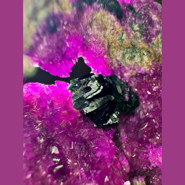 Cobaltoan Calcite with Libethenite DR Congo 4.3 cm — alternate view