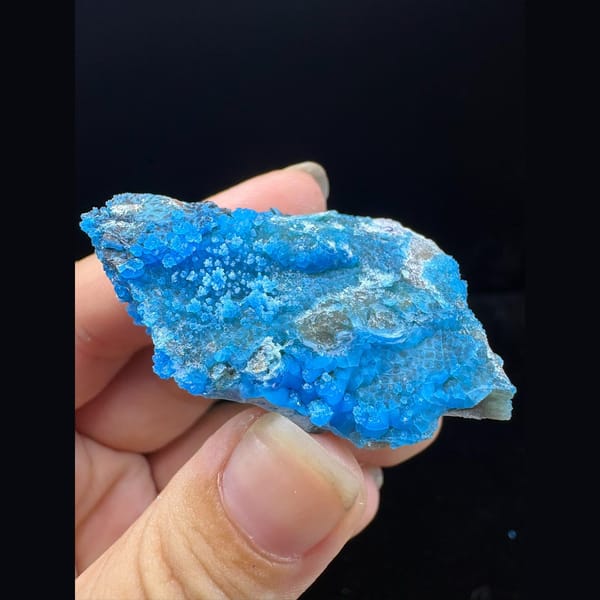 Flat blue allophane plate from Qinglong — complete view