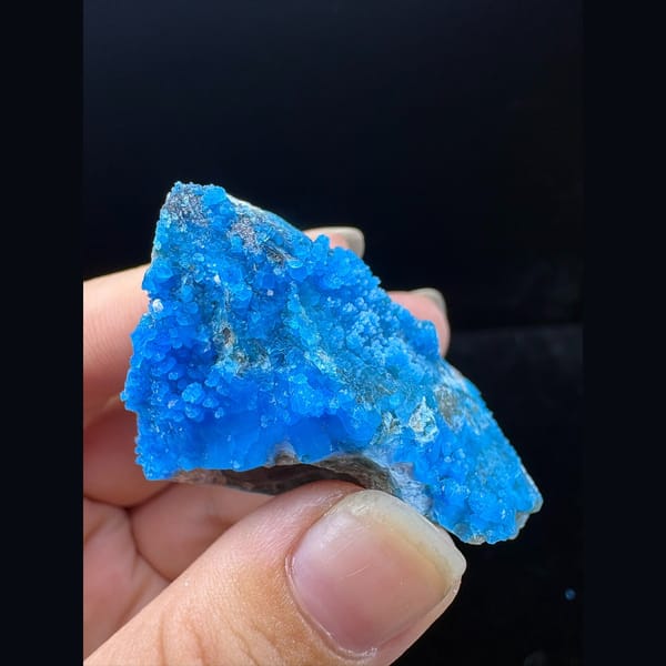 Flat blue allophane plate from Qinglong — alternate view