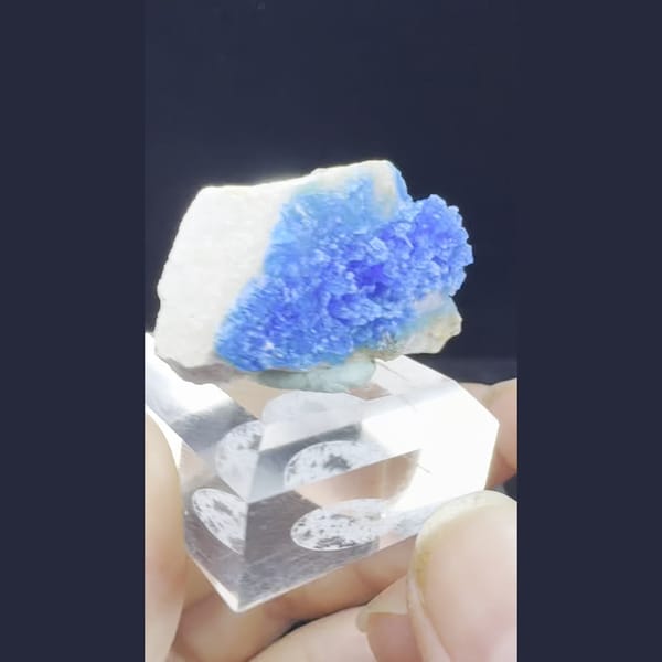 Electric blue allophane plate from Qinglong — detail view