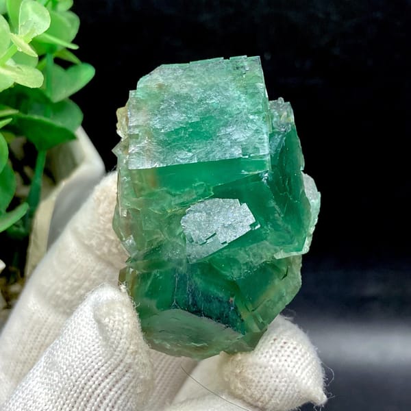 Translucent green fluorite cubes from Hebei — complete view