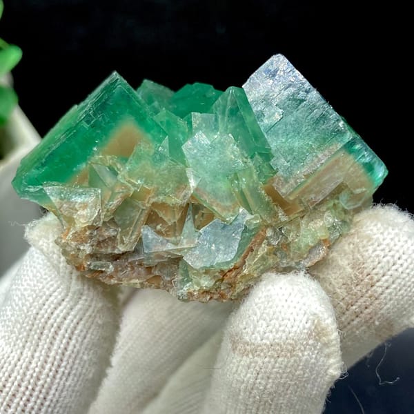 Translucent green fluorite cubes from Hebei — detail view