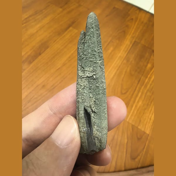 Green-skinned quartz crystal — alternate view