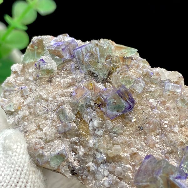 Clear purple-edged fluorite cubes on pale matrix from Hebei — alternate view
