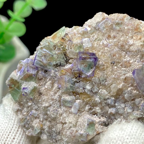 Clear purple-edged fluorite cubes on pale matrix from Hebei — alternate view