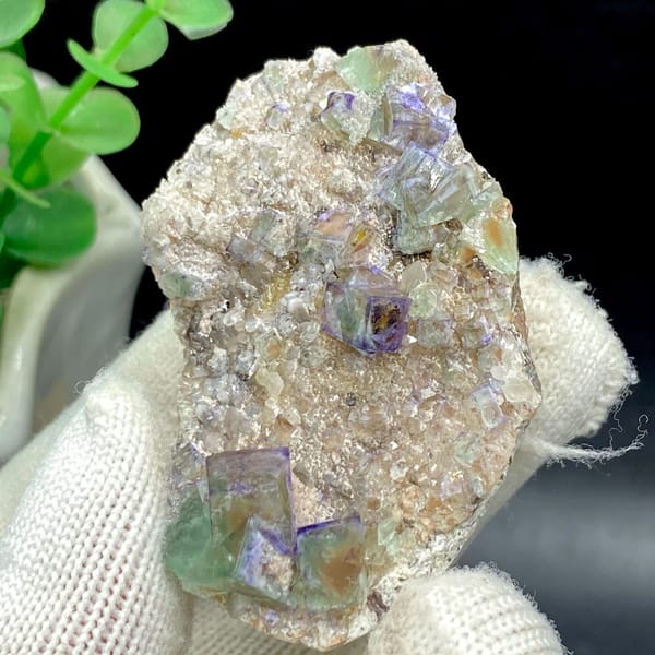 Clear purple-edged fluorite cubes on pale matrix from Hebei — detail view