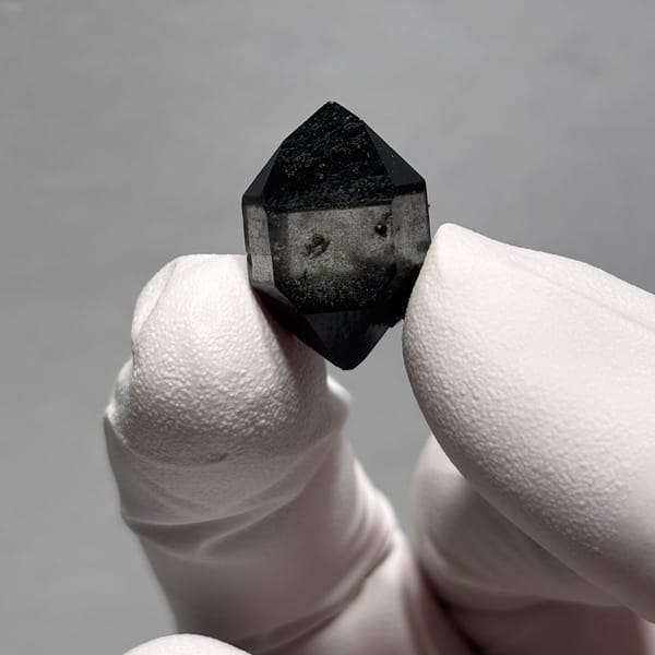 Black-capped DT Guizhou 2.0 cm — complete view