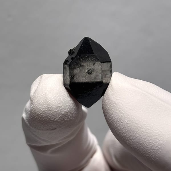 Black-capped DT Guizhou 2.0 cm — alternate view