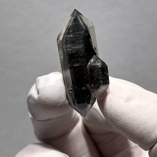 Sugar-core dt Yunnan 4.2 cm — complete view