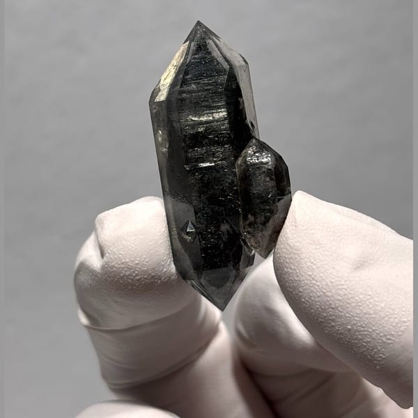 Sugar-core dt Yunnan 4.2 cm — alternate view