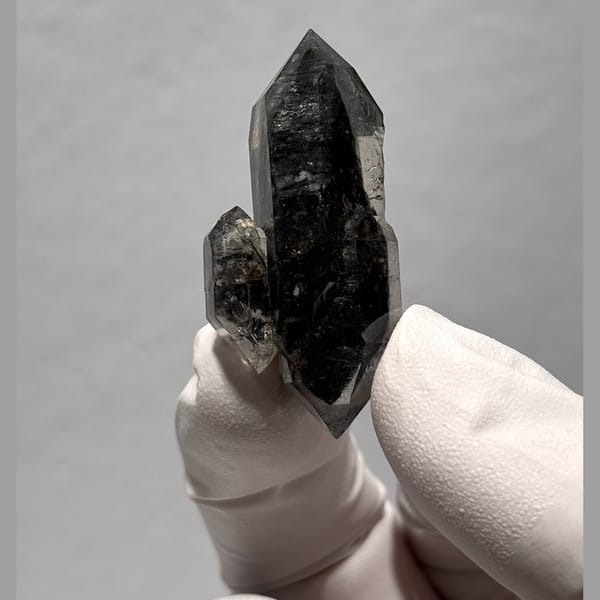 Sugar-core dt Yunnan 4.2 cm — alternate view