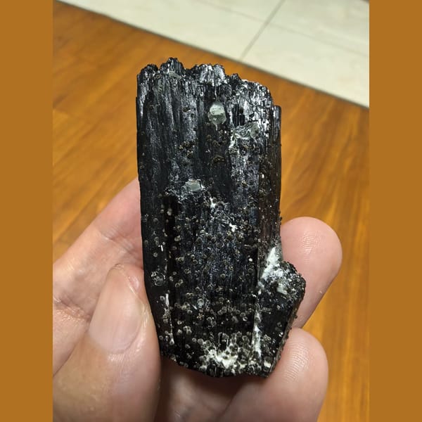 Lustrous ilvaite with green quartz — complete view