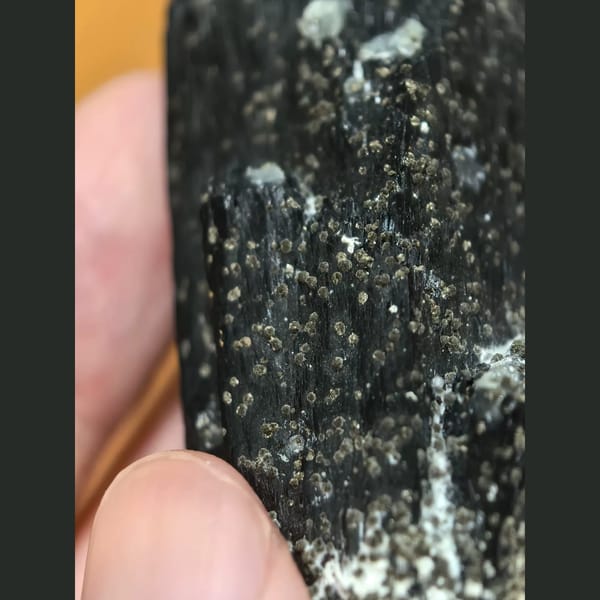 Lustrous ilvaite with green quartz — detail view
