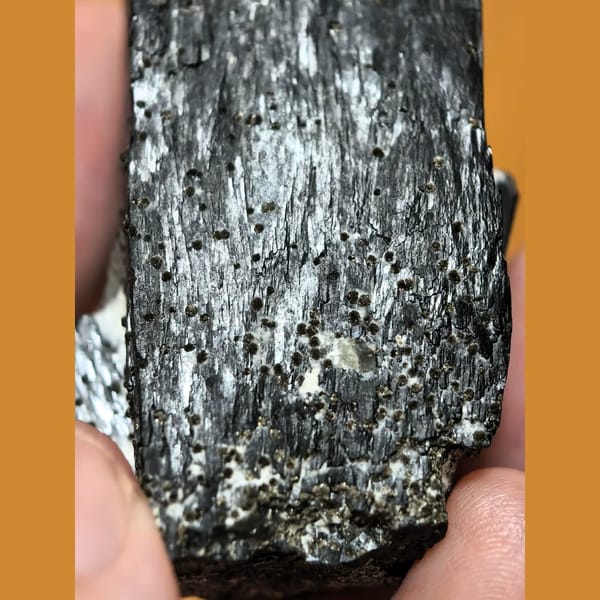 Lustrous ilvaite with green quartz — detail view