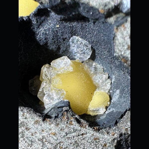 Yellow Calcite in Basalt Vesicles Vietnam 7.0 cm — alternate view