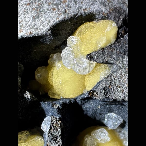 Yellow Calcite in Basalt Vesicles Vietnam 7.0 cm — detail view