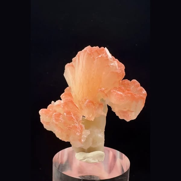 Peach-orange bladed zeolite flower cluster from India — complete view