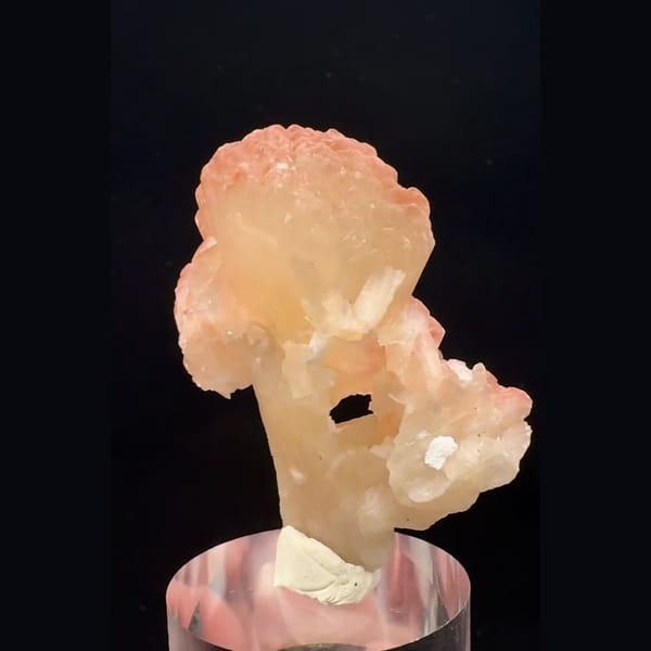 Peach-orange bladed zeolite flower cluster from India — alternate view