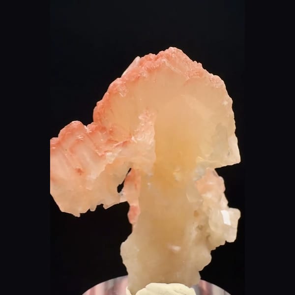 Peach-orange bladed zeolite flower cluster from India — detail view