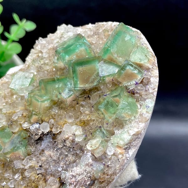 Green fluorite cubes on a sparkling quartz plate from Hebei — complete view