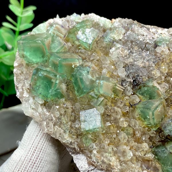 Green fluorite cubes on a sparkling quartz plate from Hebei — alternate view