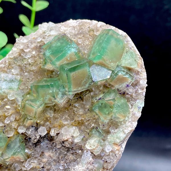 Green fluorite cubes on a sparkling quartz plate from Hebei — detail view