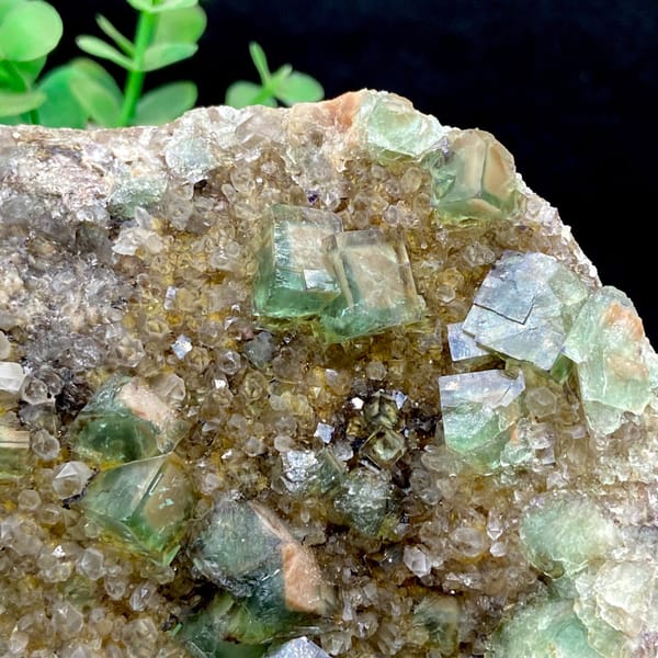 Green fluorite cubes on a sparkling quartz plate from Hebei — detail view