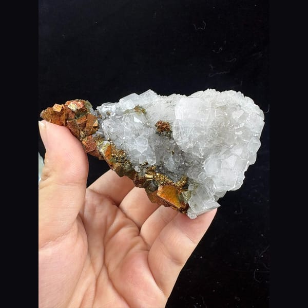 White calcite with golden pyrite floater from Fujian — complete view