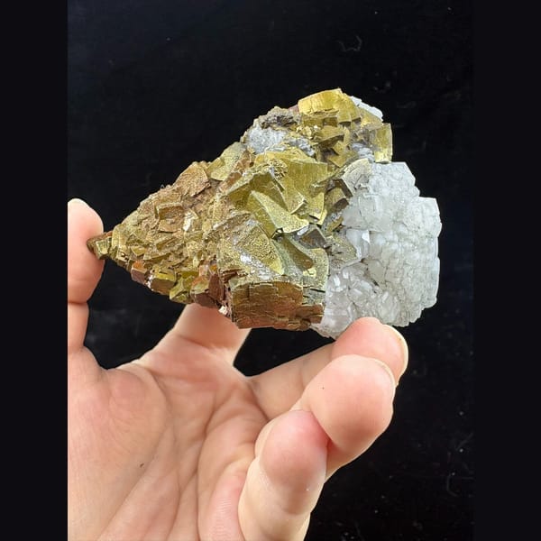 White calcite with golden pyrite floater from Fujian — alternate view