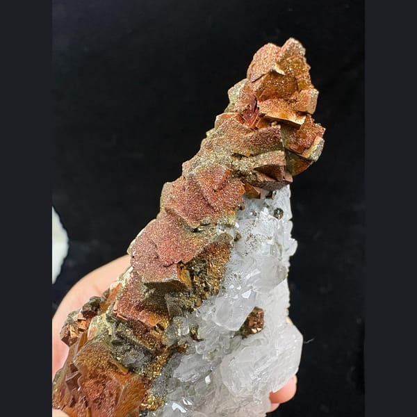 White calcite with golden pyrite floater from Fujian — detail view