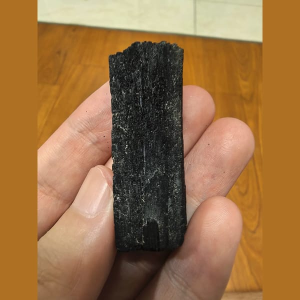 Lightly etched ilvaite crystal — complete view