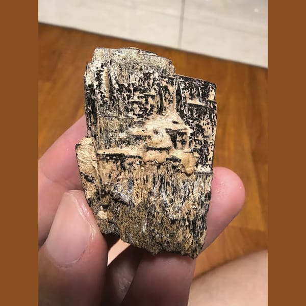 Sparkling hedenbergite cluster with quartz — detail view