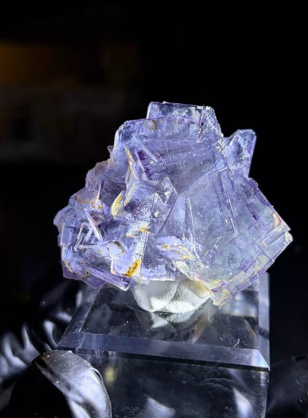 Complete front view of blue phantom fluorite with purple rims